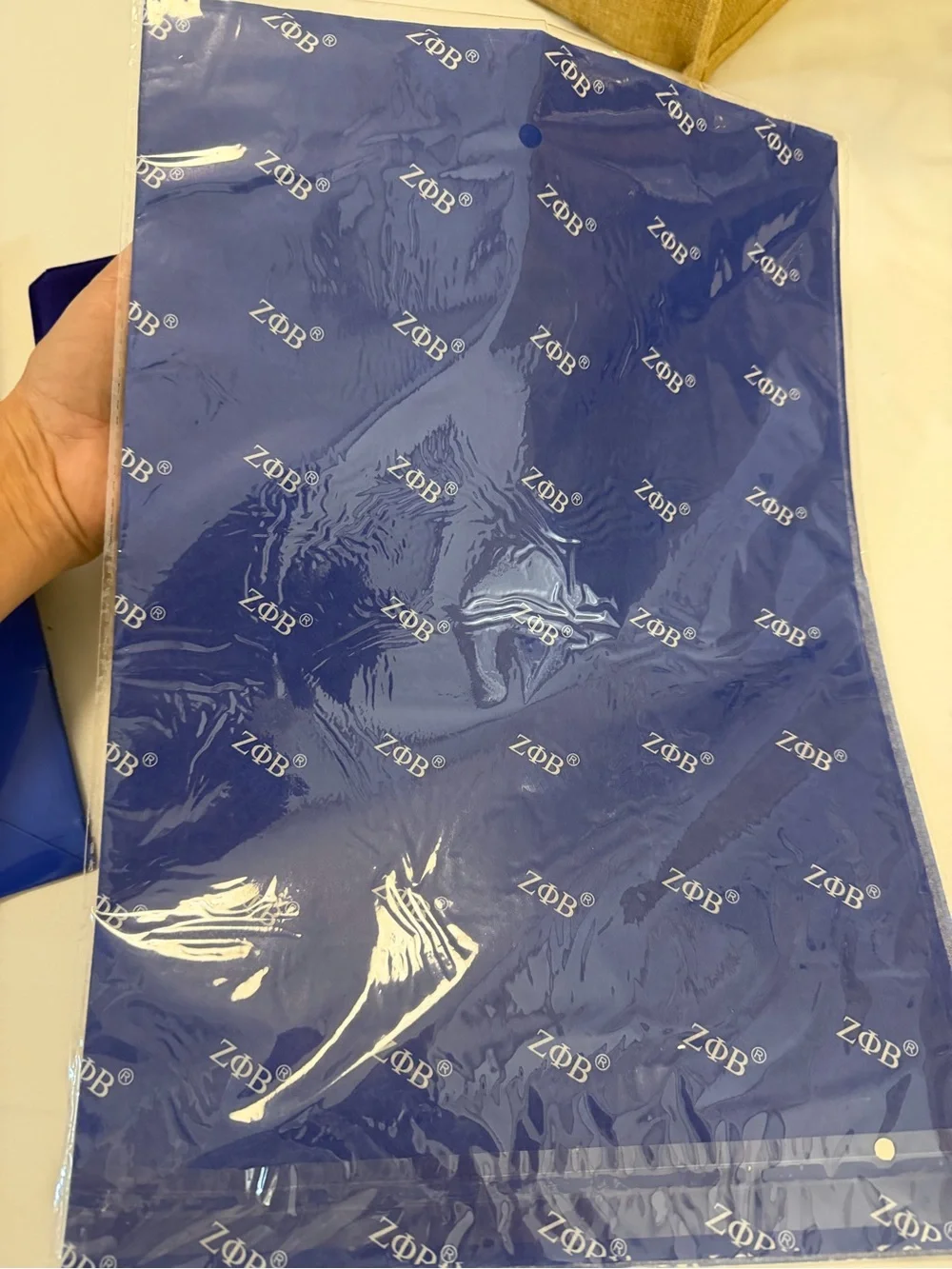 Zeta phi Beta gift bags set with matching box